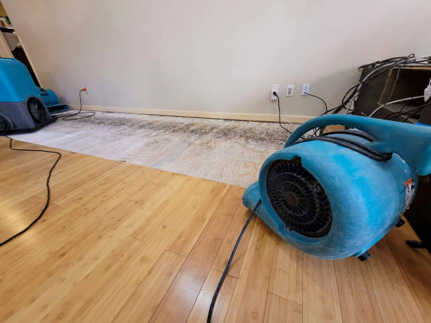 Professional Flood Damage Cleanup technician working in Ashland, NE